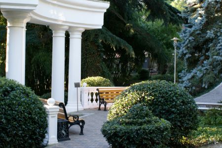 Внешний вид