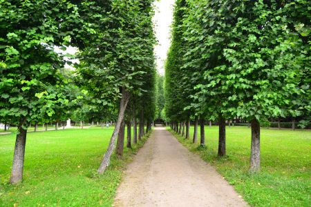 Внешний вид