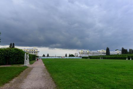 Внешний вид