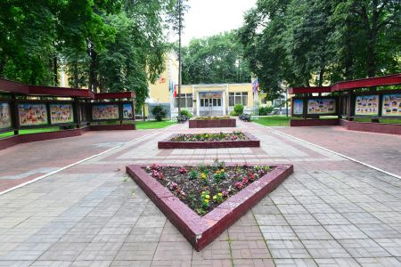 Внешний вид