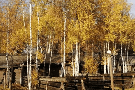 Изба Молодежка-16