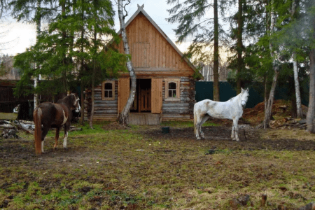 Изба Малая 2-местная 5