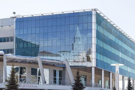 Внешний вид