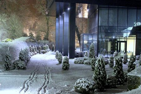 Внешний вид