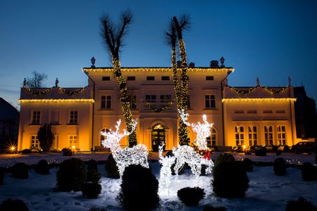 Внешний вид