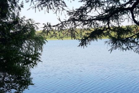 Территория