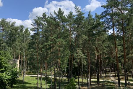 Территория