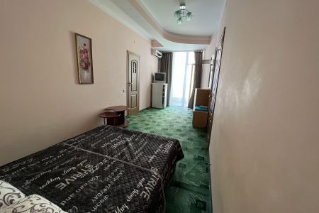 Стандартный 2-местный 1-комнатный