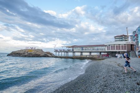 Внешний вид