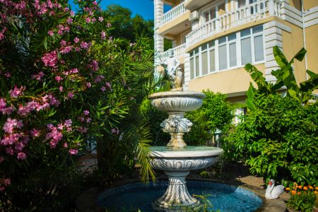 Внешний вид