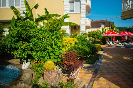 Внешний вид