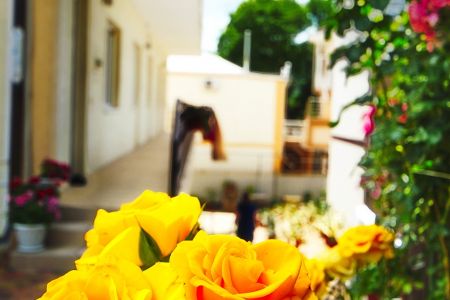 Территория