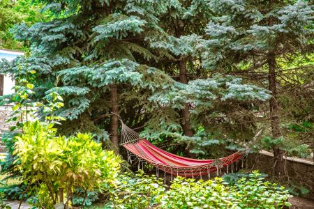 Делюкс 2-местный (корпус Б) (1)