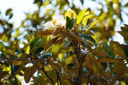 Делюкс 2-местный (корпус Б) (1)