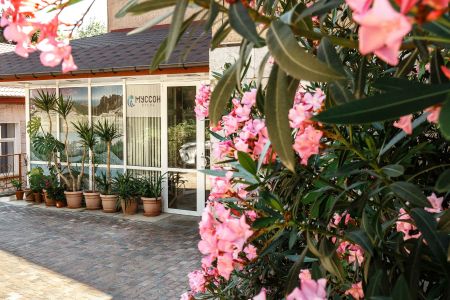 Делюкс 2-местный (корпус Б) (1)