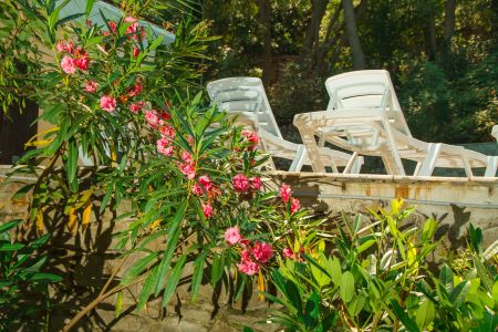 Делюкс 2-местный (корпус Б) (1)