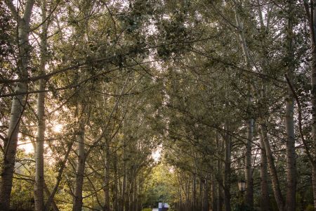 Kreatovo-2-8331-Edit