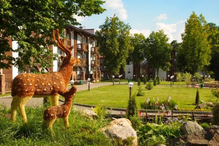 Внешний вид