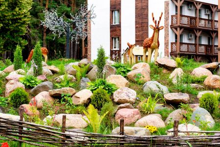 Внешний вид