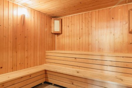 Шведская линия