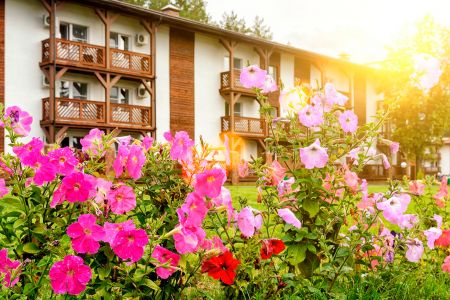 Внешний вид