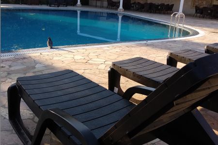 Территория