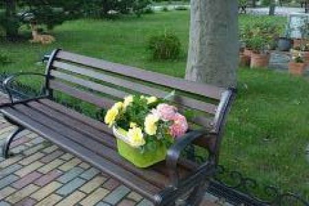 Внешний вид