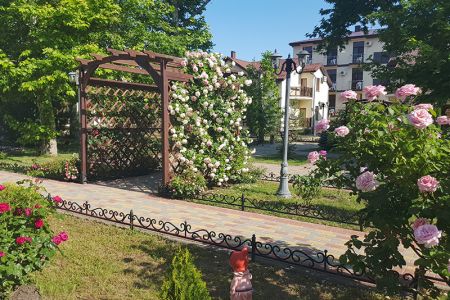 Внешний вид