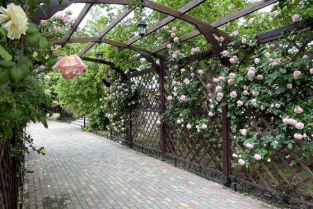 Внешний вид