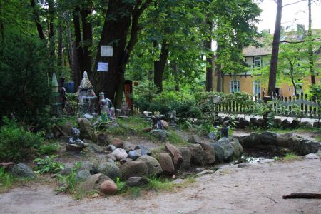 Внешний вид