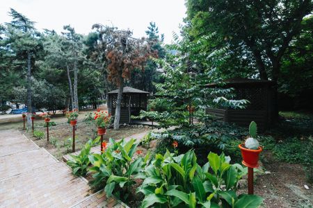 «Прага» парк-отель