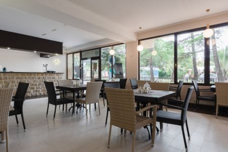 Золотой дельфин