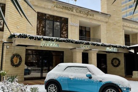 Золотой дельфин