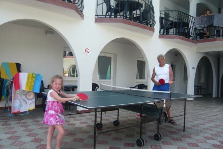 Настольный теннис