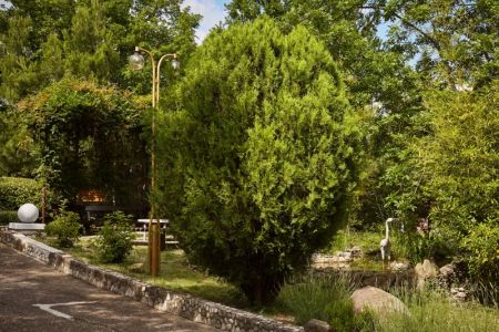 Внешний вид