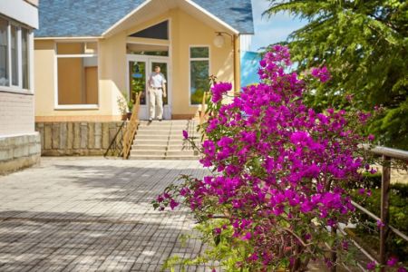 Внешний вид