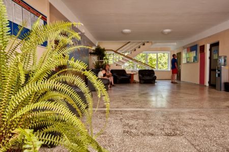 Внешний вид