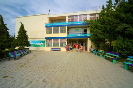 Внешний вид