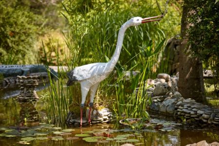 Территория