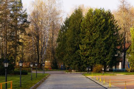 Внешний вид