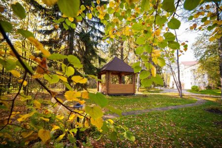 Внешний вид