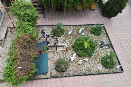 Территория