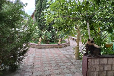 Территория