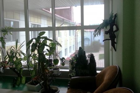 Внешний вид