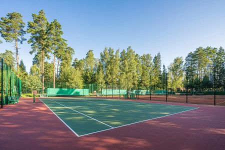 Внешний вид