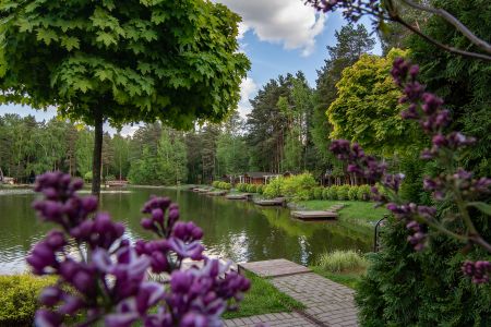 Внешний вид