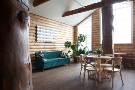 Внешний вид