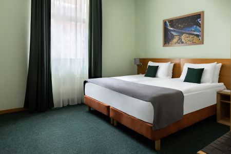 Полулюкс 2-местный