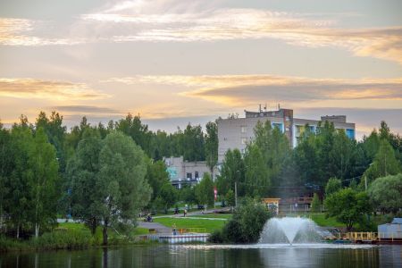 Внешний вид