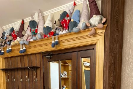 Внешний вид